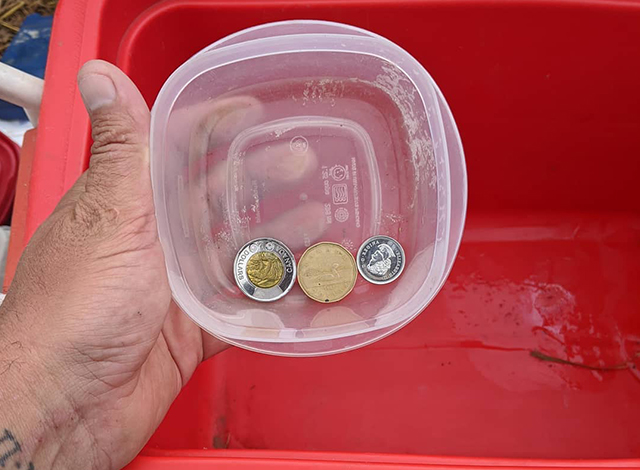 Stolen egg money