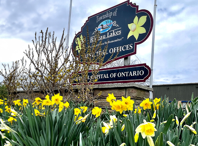 Rideau Lake municipal office sign with yellow daffodils below, just outside where council meets.