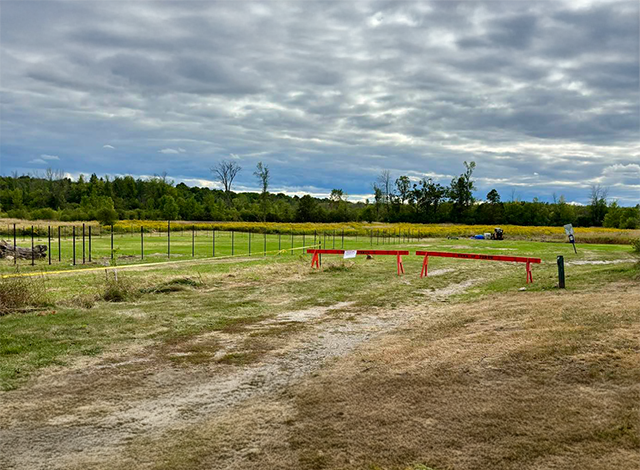Fencing going up for Perth's off-leash dog park.