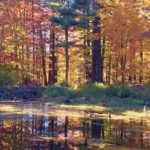 Fall at Foley Mountain