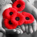 Covid-19 Affects poppy sales, Remembrance Day ceremony