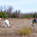 RVCA supports Lanark County Climate Action Plan through landowner tree planting program