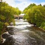 REAL organizing shoreline cleanup day in Smiths Falls Oct. 2