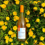 Beer, Wine and Spirits: Orange wine