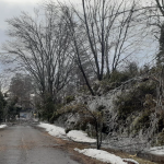 Council updated on ice storm impact and clean-up