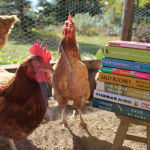 Chickens with Books