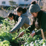 Falls Food Hub and St. John’s Anglican explore community garden collaboration
