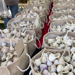 Perth Garlic Festival celebrates 25 years