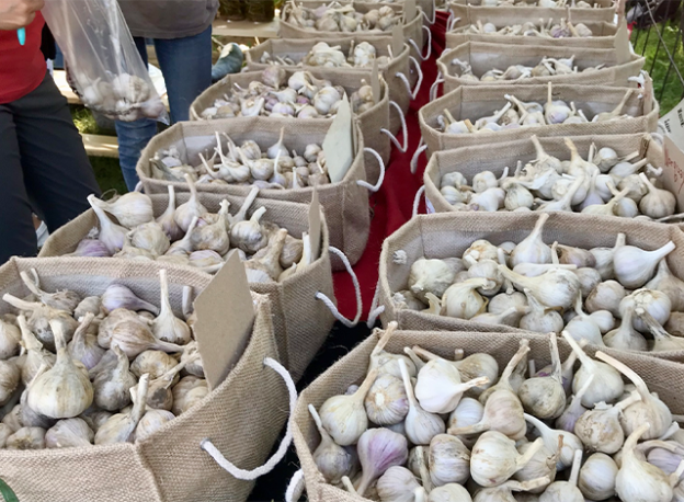 Bags of garlic at the Perth Garlic Festival.