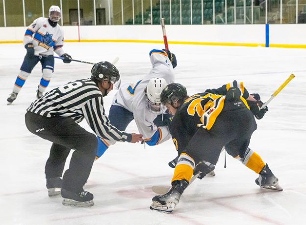 Bears vs. Wolves game on Oct. 11, 2024